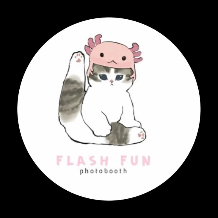 Flash Fun logo